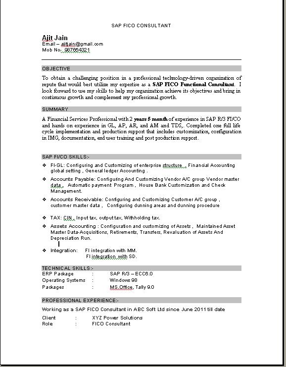Technical consultant resume sample